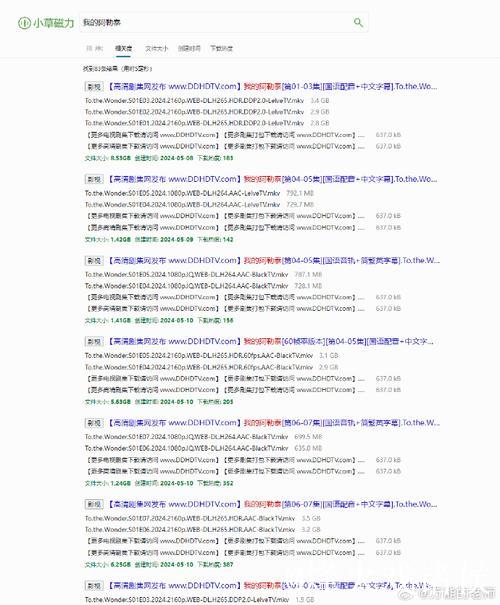 迅雷磁力搜索神器，让资源一网打尽