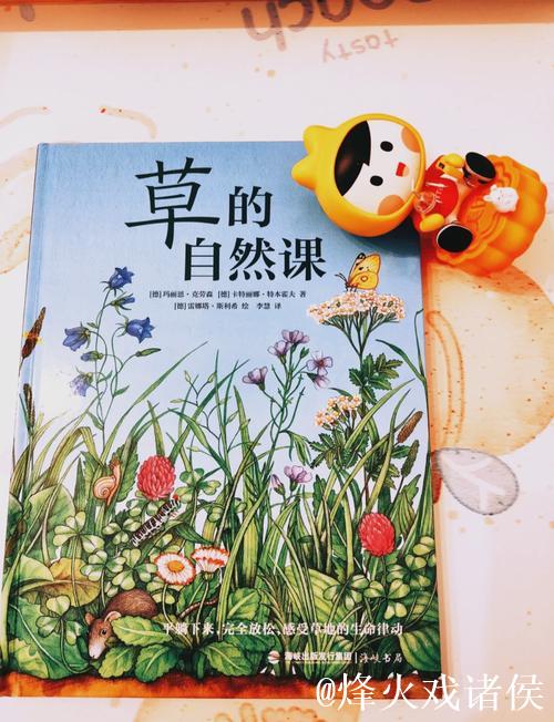 探索青青草91的世界：揭秘背后的故事与魅力